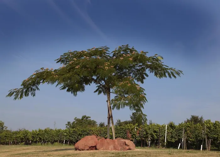 Toskana בית הארחה Bornheim (Pfalz)