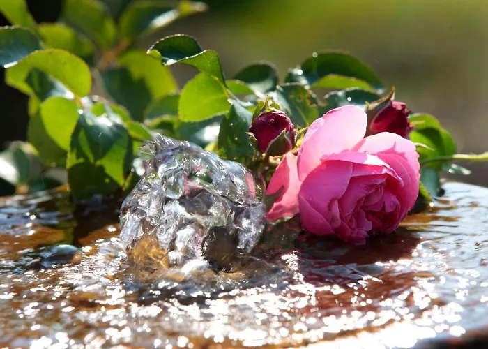 Toskana בית הארחה